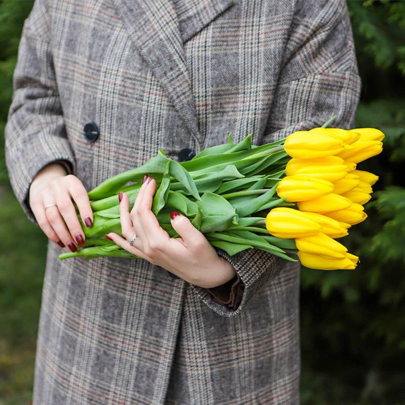 Желтые  тюльпаны