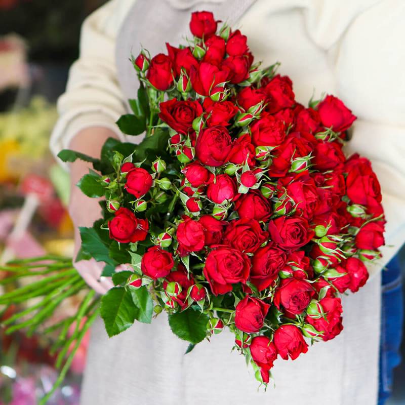 Красные кустовые розы "Мирабель"