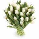 Букет из белых тюльпанов 
