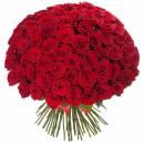 Букет из 101 Красной розы сорт "Наумия"