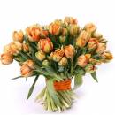Желто-оранжевые  пионовидные тюльпаны